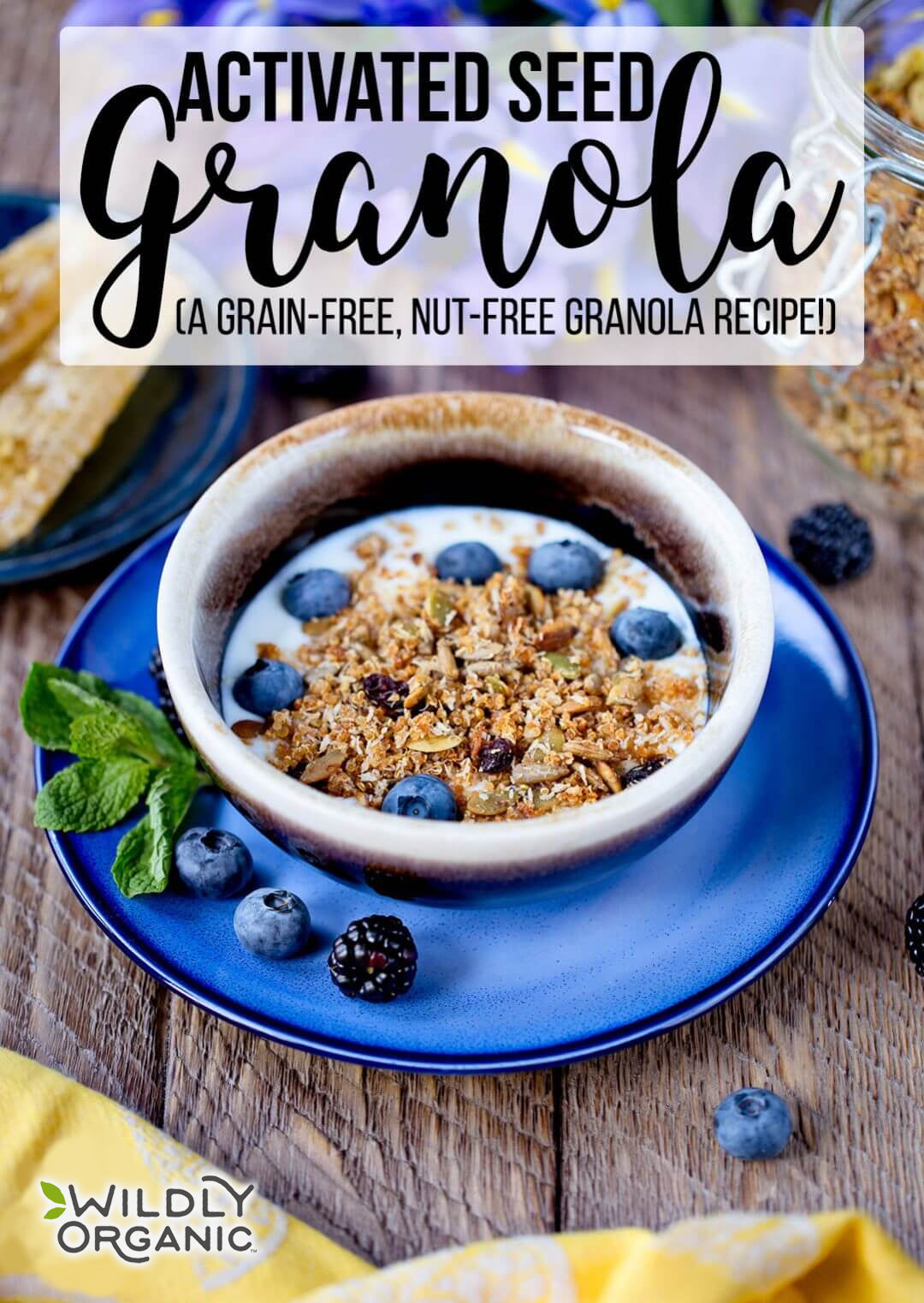 Activated-Seed-Granola-Wilderness-Family-Naturals-main Activated Seed Granola (a grain-free, nut-free granola recipe!)