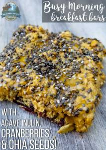 Homemade breakfast bars with chia seeds, cranberries, and agave inulin on a wooden surface