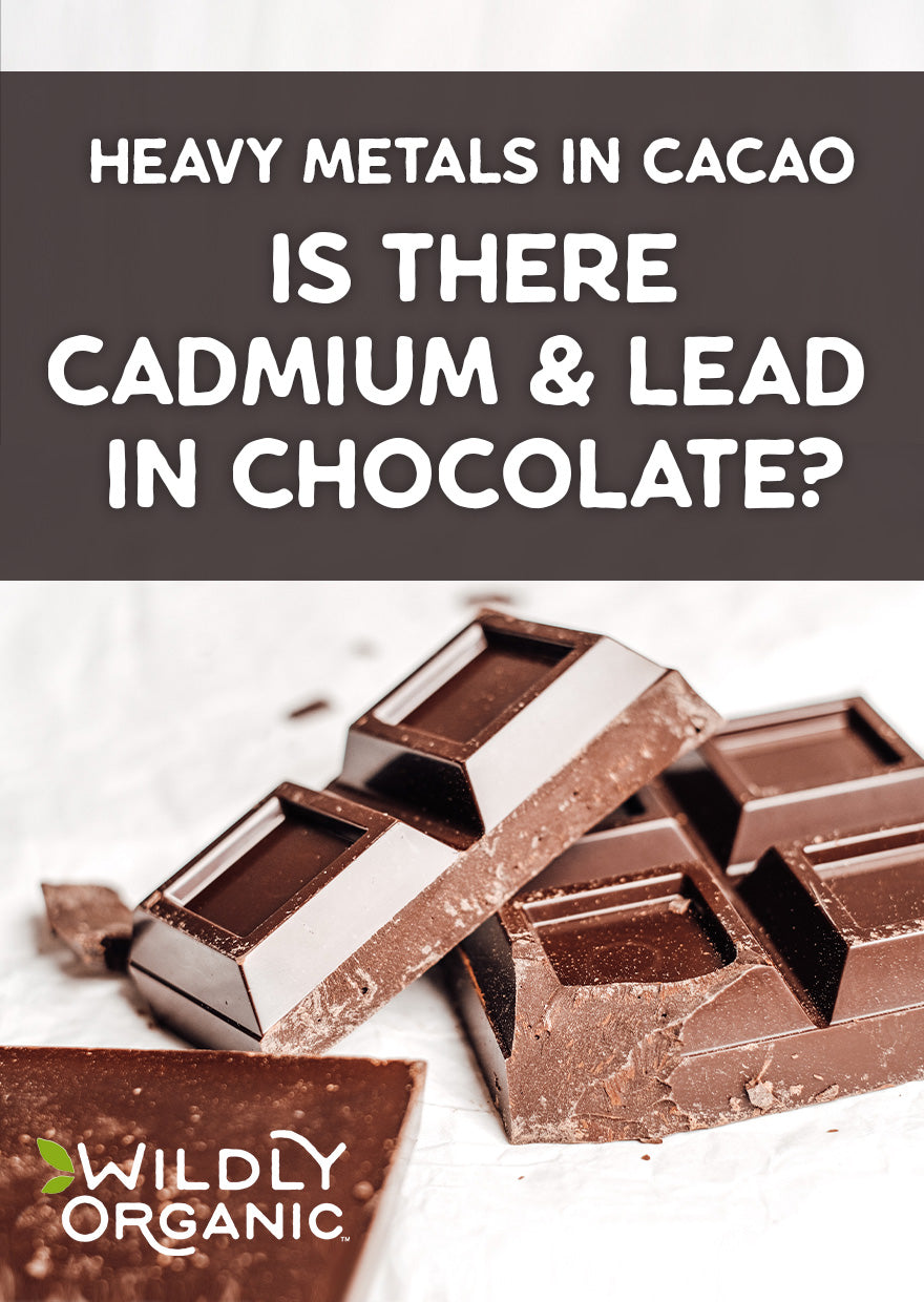 Heavy Metals in Cacao – Is There Cadmium & Lead in Chocolate?