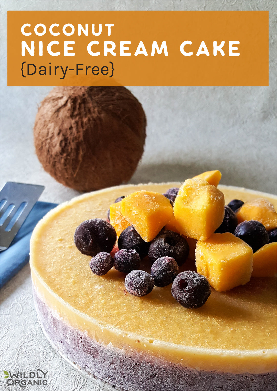 Dairy Free Fruity Coconut Nice Cream Cake