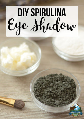 DIY spirulina eye shadow displayed with ingredients and a makeup brush.