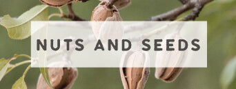 Buy organic raw soaked and dried nuts and seeds from Wildly Organic