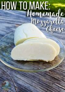 Sliced homemade mozzarella cheese on a plate with text HOW TO MAKE: Homemade Mozzarella Cheese
