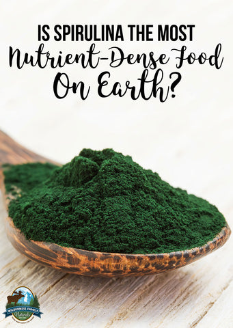 A wooden spoon overflowing with green spirulina powder, with text asking if it's the most nutrient-dense food on Earth