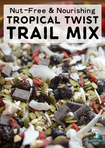 Close-up of nut-free tropical trail mix with seeds, dried fruit, and coconut flakes, with label overlay.