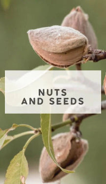 Nuts and Seeds