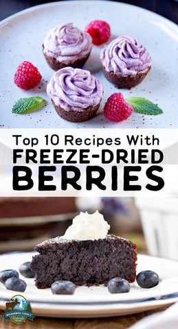 Dessert flyer with Top 10 Recipes With FREEZE-DRIED BERRIES, featuring tarts and a chocolate cake.