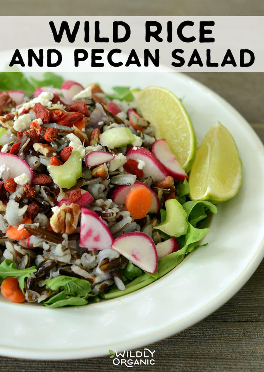 Wild rice and pecan salad, gluten-free and vegetarian, perfect as a side or main dish with added protein like chicken or turkey.