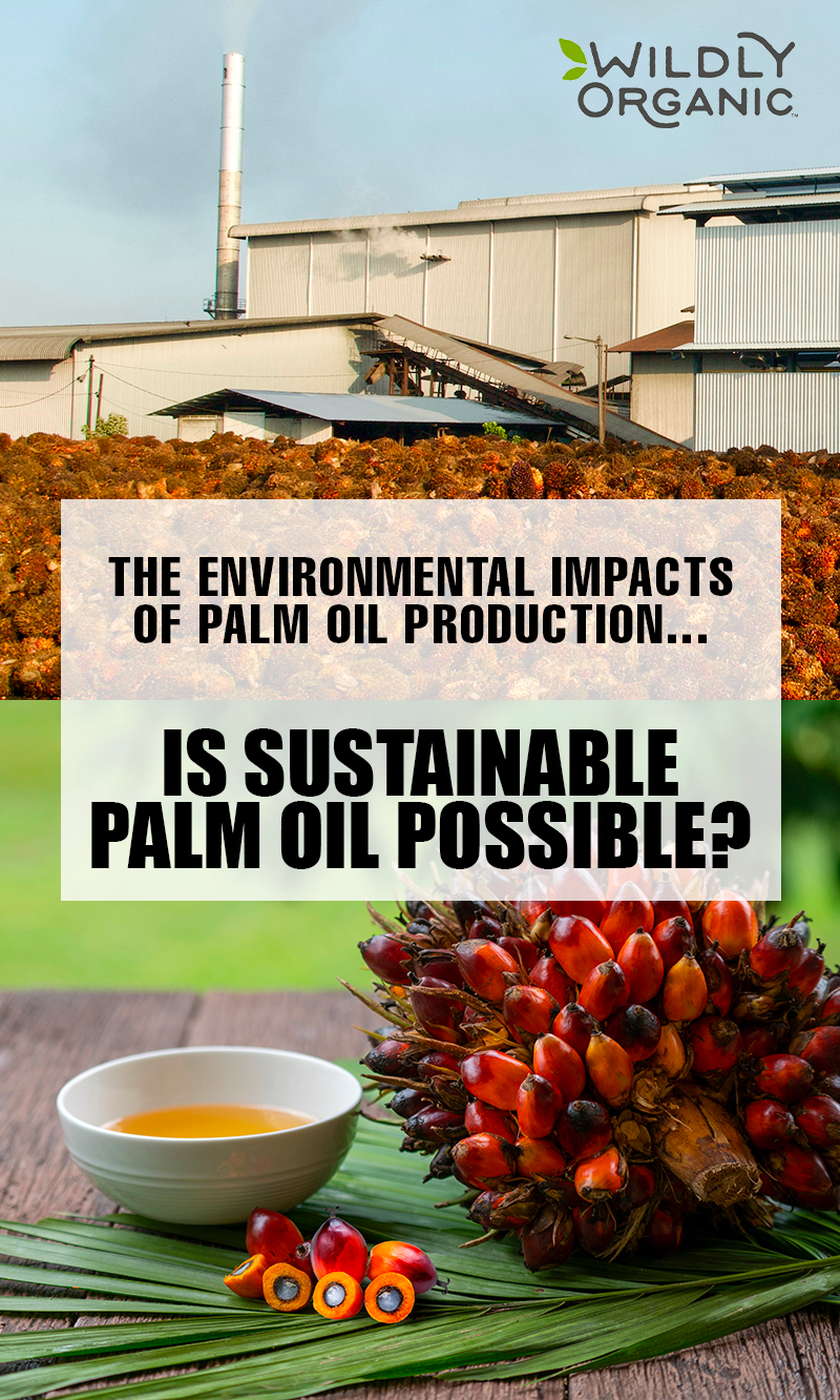 An infographic questioning the sustainability of palm oil with images of a palm bunch, oil in a bowl, and an industrial facility